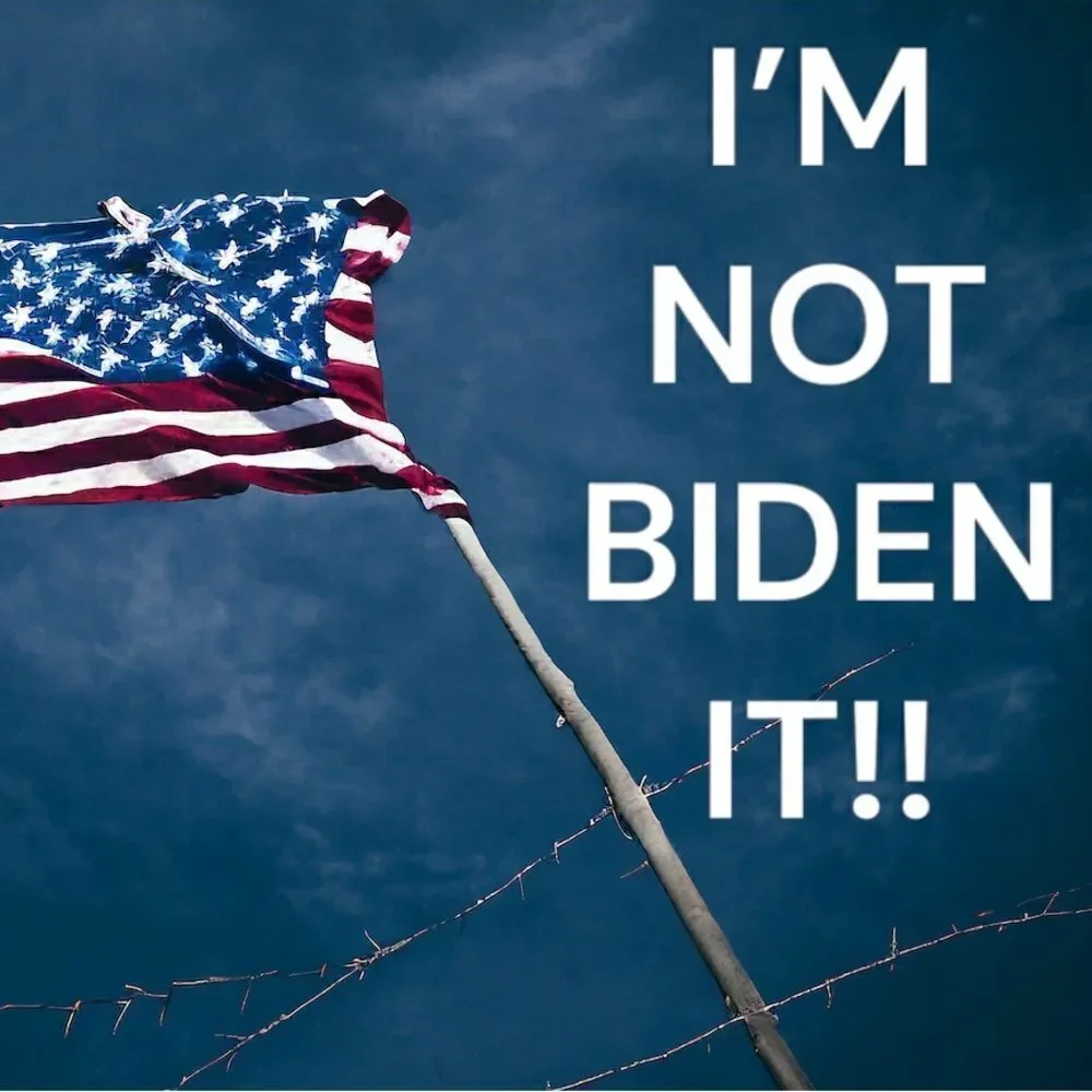 I’M NOT BIDEN IT.  l USA Statement Beanie l Gray l Unisex l New